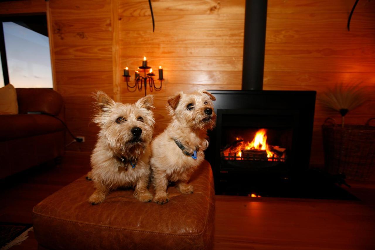 Birds Ferry Lodge Luxury B&B Westport Exterior foto